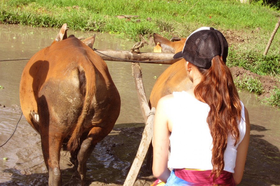 {Travelling Tuesdays} Field Work in Bali