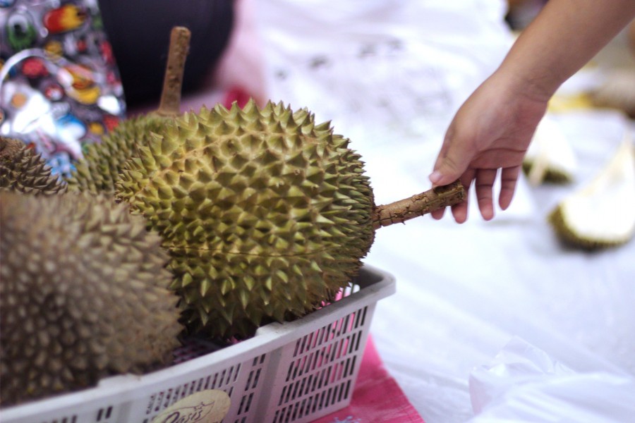 Durian Mobilisation 2014