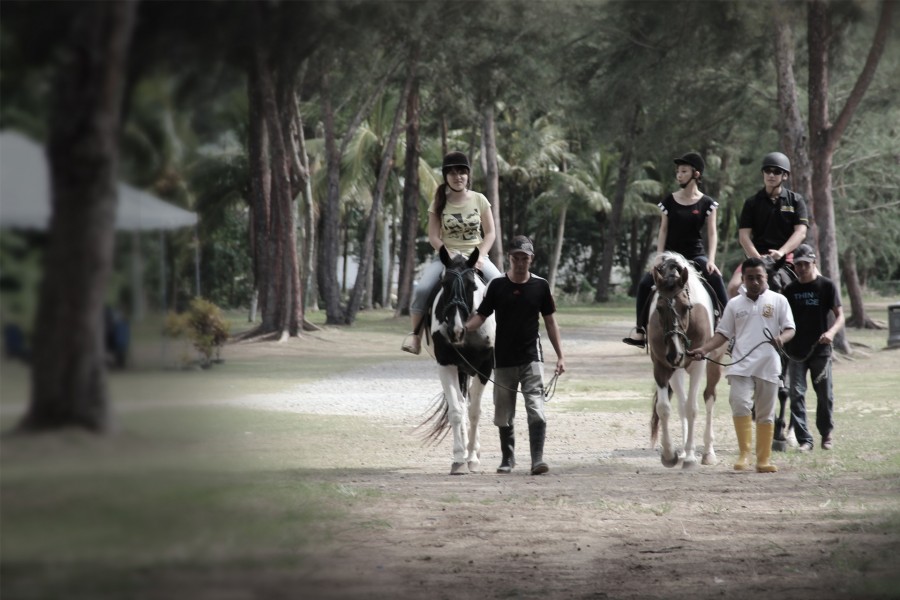 Horse Riding and a sweet farewell